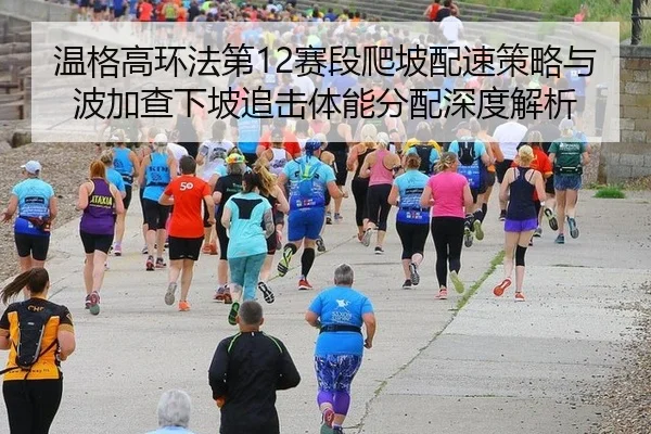 wen-ge-gao-huan-fa-di-sai-duan-pa-po-pei-su-ce-lve-yu-bo-jia-cha-xia-po-zhui-ji-ti-neng-fen-pei-shen-du-jie-xi-2-484.jpg