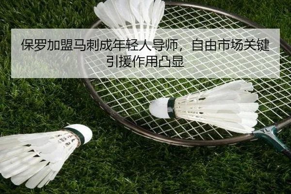 保罗加盟马刺成年轻人导师，自由市场关键引援作用凸显