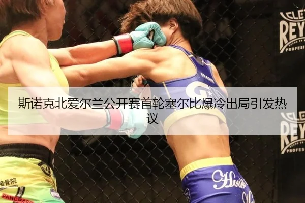 斯诺克北爱尔兰公开赛首轮塞尔比爆冷出局引发热议