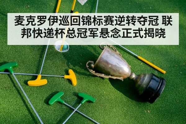 麦克罗伊巡回锦标赛逆转夺冠 联邦快递杯总冠军悬念正式揭晓